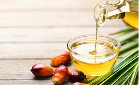 تصویر 1 از خرید و قیمت روغن هسته خرما خوراکی + فروش عمده
